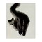 Stupell Industries Fun Black Cat Behind Canvas Wall Art Design by Melissa Wang